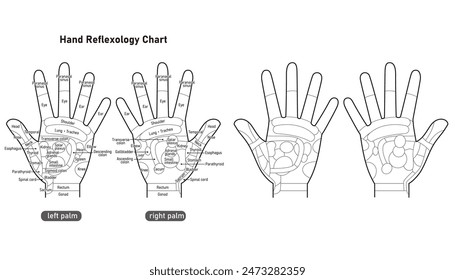 Handflächenreflexe und Handdruckpunkte: eine Reihe von Illustrationen (schwarz-weiß, englische Version)
