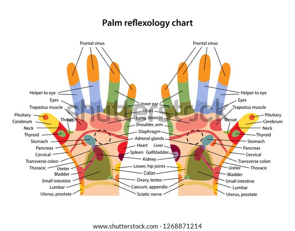 Reflexology Chart Stomach