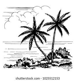 Palm and sea vector sketch. Summer beach. Two lonely palms and grass. Coconuts. Clouds on the horizon.