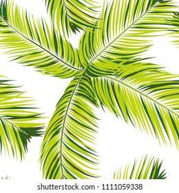 Palm Seamless Pattern. Exotic Leaves. Tropic Summer Background. Green Vector Palm Branches. Realistic Jungle Foliage. Palm Seamless Background for Print, Cloth Design, Textile, Wallpaper, Wrapping.