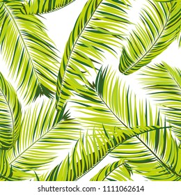Palm Seamless Pattern. Exotic Leaves. Tropic Summer Background. Green Vector Palm Branches. Realistic Jungle Foliage. Palm Seamless Background for Print, Cloth Design, Textile, Wallpaper, Wrapping.