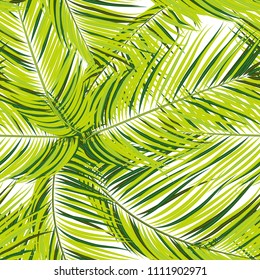 Palm Seamless Pattern. Exotic Leaves. Tropic Summer Background. Green Vector Palm Branches. Realistic Jungle Foliage. Palm Seamless Background for Print, Cloth Design, Textile, Wallpaper, Wrapping.