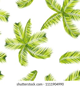 Palm Seamless Pattern. Exotic Leaves. Tropic Summer Background. Green Vector Palm Branches. Realistic Jungle Foliage. Palm Seamless Background for Print, Cloth Design, Textile, Wallpaper, Wrapping.