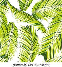 Palm Seamless Pattern. Exotic Leaves. Tropic Summer Background. Green Vector Palm Branches. Realistic Jungle Foliage. Palm Seamless Background for Print, Cloth Design, Textile, Wallpaper, Wrapping.