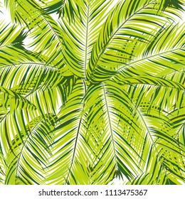 Palm Seamless Pattern. Exotic Leaves. Tropic Summer Background. Green Vector Palm Branches. Realistic Jungle Foliage. Palm Seamless Background for Print, Cloth Design, Textile, Wallpaper, Wrapping.