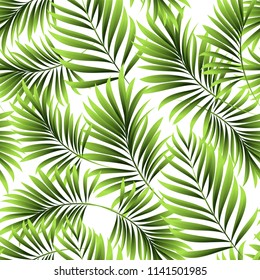 Palm. Seamless pattern from tropical plant leaves. Jungle. Vector background.