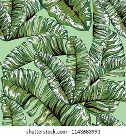 Palm. Seamless pattern from tropical plant leaves. Jungle. Vector wallpaper, background.