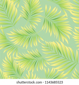 Palm. Seamless pattern from tropical plant leaves. Jungle. Vector wallpaper, background.
