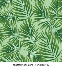 Palm. Seamless pattern from tropical plant leaves. Jungle. Vector wallpaper, background.