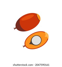 Palm seed whole and half vector illustration isolated on white background