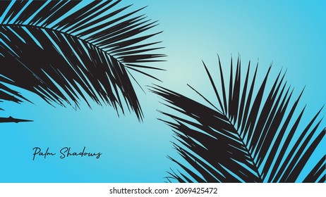 Palm Shadow - Leaf Shadow