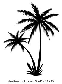 Palm shadow vector illustration. Palm tree, coconut tree, summer tree. Icon palm tree image for posters, banners and promotional items. Tropical palm trees set silhouette. Black palms limb, coco 