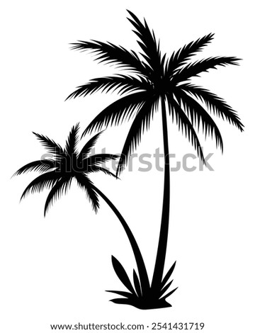 Palm shadow vector illustration. Palm tree, coconut tree, summer tree. Icon palm tree image for posters, banners and promotional items. Tropical palm trees set silhouette. Black palms limb, coco 