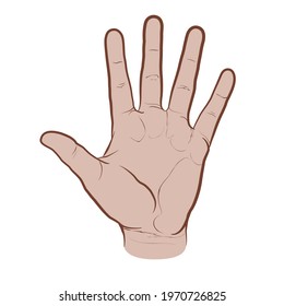 Palm side view of the hand, colored version. Flat vector drawing isolated on white background, EPS 8.