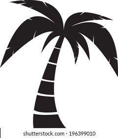 palm silhouette