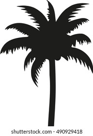 Palm silhouette