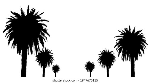 Palm silhouette black color on a white background, isoolated. Travel theme, summer illustration. Vector EPS 10.