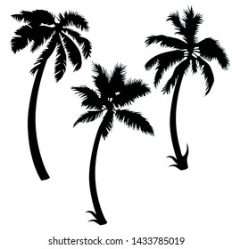 palm silhouette , set ,vector,isolated on white background