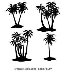 palm silhouette, vector, illustration