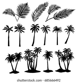 palm silhouette, vector, illustration