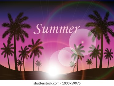 Palm silhouettes on summer sunset