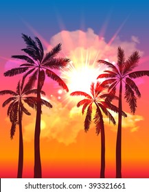 Palm silhouettes on summer sunset with beautiful sky background. Tropical sunset, summer paradise. Vector illustration
