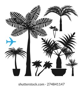 Palm silhouettes, vector illustration