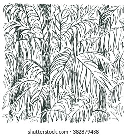 
Palm sketch. Hand drawn vector illustration.