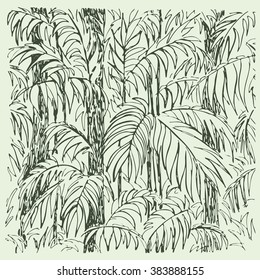 Palm sketch. Hand drawn vector illustration.