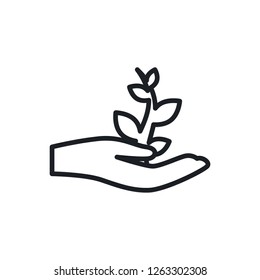palm sproute vector icon
