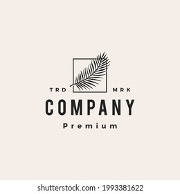palm square hipster vintage logo vector icon illustration
