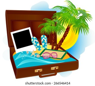 Palm in a suitcase