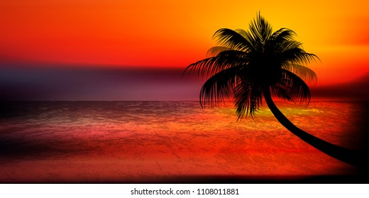 Palm summer scenery background
