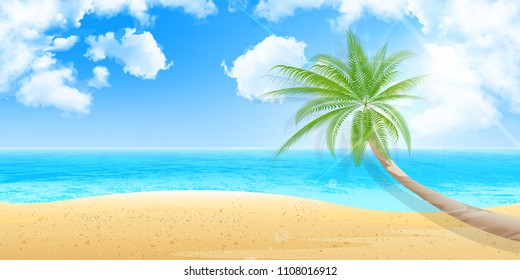 Palm summer scenery background