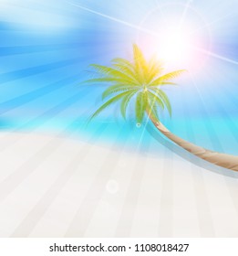 Palm summer scenery background