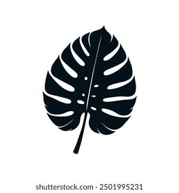 Palm summer tropical leaf silhouette icon. Jungle plant black tree foliage isolated palm exotic leaf