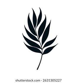 Palm summer tropical leaf silhouette icon. Jungle plant black tree foliage isolated palm exotic leaf