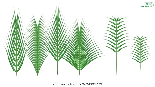 Palm Sundah element design concept. 3D Illustration