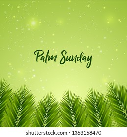 Palm Sunday Background