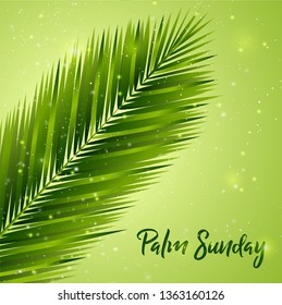 Palm Sunday Background