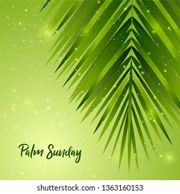 Palm Sunday Background