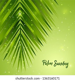 Palm Sunday Background