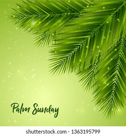 Palm Sunday Background