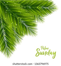 Palm Sunday Background