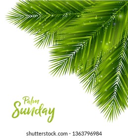 Palm Sunday Background