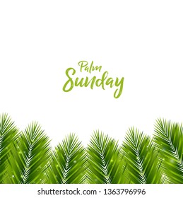 Palm Sunday Background