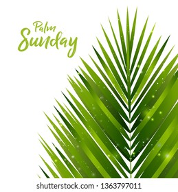 Palm Sunday Background
