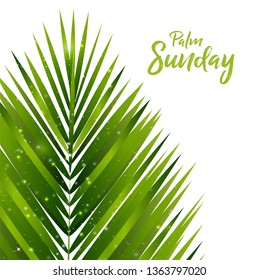 Palm Sunday Background