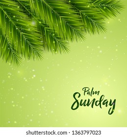 Palm Sunday Background