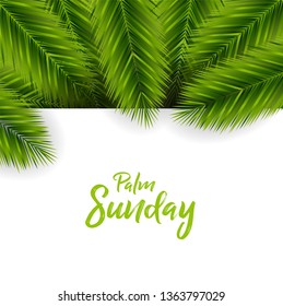 Palm Sunday Background